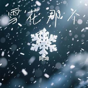 雪花那个飘 (Cover 王娜)