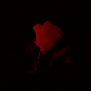 Fall Back (feat. Rejekt & Makhai)