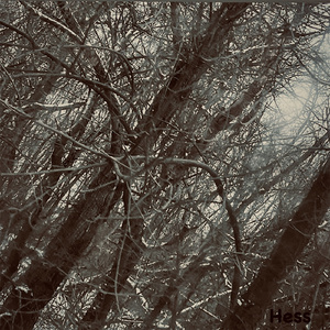 Hess (Slowed and Reverb Remix)