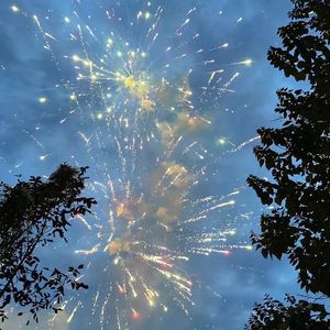 算了（cover 万妮达）