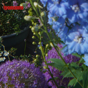 春、木漏れ日、悠々自適