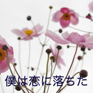 僕は恋に落ちた