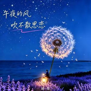 午夜的风吹不散思念