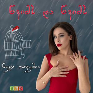 წვიმს და წვიმს