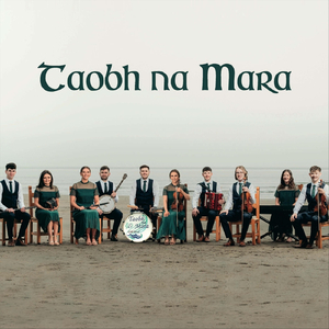 T'was Many a Wild Night / The Ballyvourney / Sweeney's / Is Trua Gan Peata an Mhaoir Agam (Polkas)