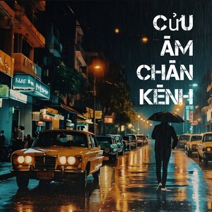 Mưa Chiều
