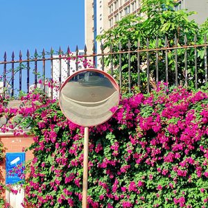 月落乌啼霜满天