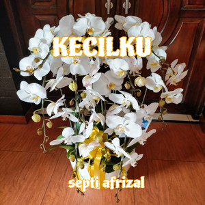 Kecilku