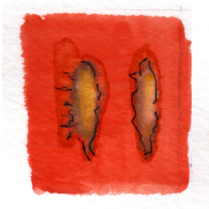 Flowers for the Lady (Watercolor Editions)