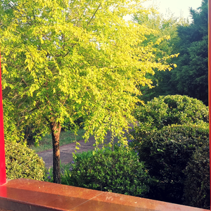 Bon Jovi-重新出发 李如一