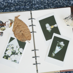 다이어리 (Inst.)