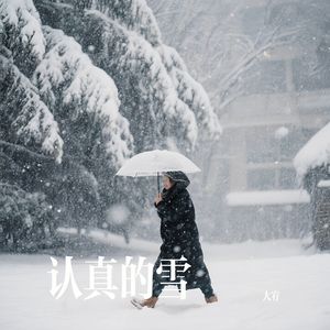 认真的雪