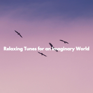 Wonderful Duo - Vibe for Individual Sense