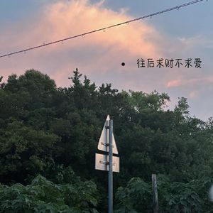 往后求财不求爱