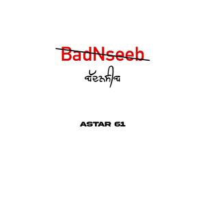 BadNseeb