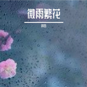 记忆编码