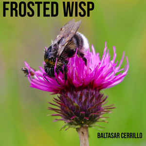 Frosted Wisp