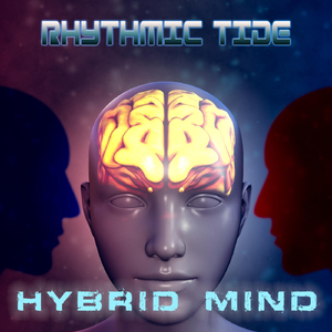 Hybrid Mind