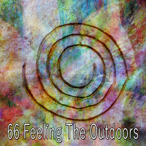 Disconnect from Worry