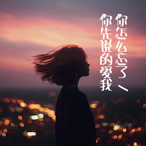 你怎么忘了你先说的爱我