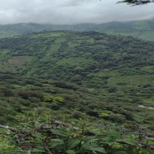 Porque te alejas de mi