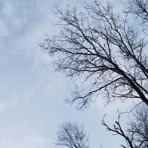 Vignette (Frozen Pond)