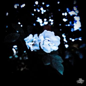 到底该不该 (Prod. by day19)