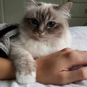 Number One Spot (slowed)