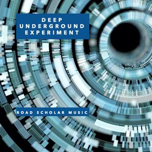 Deep Underground Experiment