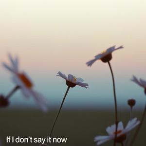 If i don't say it now