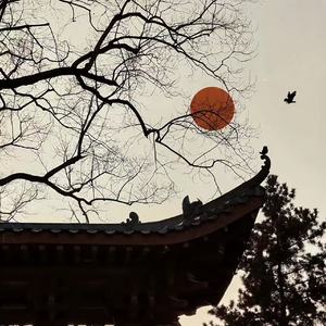 千年（你是前世未止的心跳）