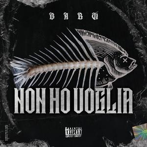 Non Ho Voglia