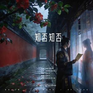 知否知否 (中式民谣)
