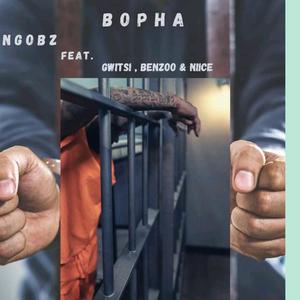 Bopha (feat. Benzoo, Gwiitsi & Niice)