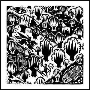 Ancient Earthworks: II. The Past Has a Life in the Forest