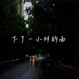下了一小时的雨