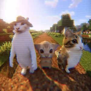 Montagem Miau（Funk）