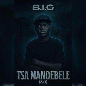 Tsa Mandebele(3.0)