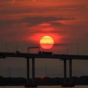 无羁-C君a （翻自 王一博 肖战）