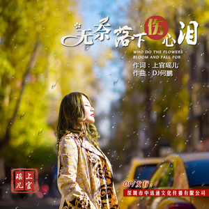 无奈落下伤心泪(DJ何鹏版)