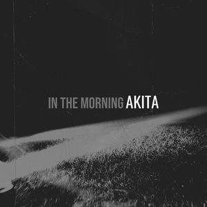 In the Morning