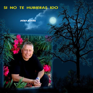 Si No Te Hubieras Ido