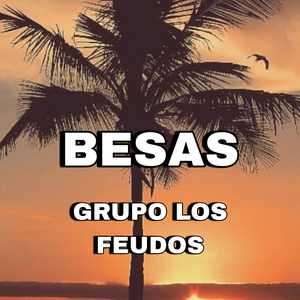 Besas