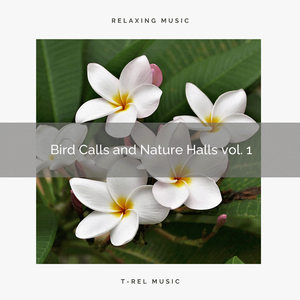 Live Today, Gain Sleep Nature Music for Magical Relax pt. 2