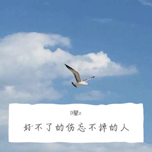 好不了的伤忘不掉的人