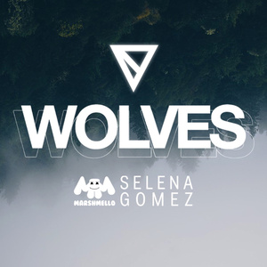 Wolves (Vincent Remix)