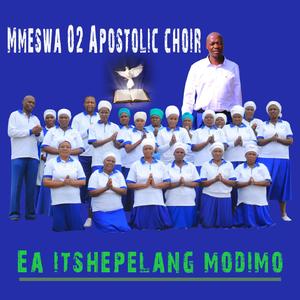 08_ MOGOBO
