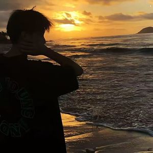 琵琶敲响的雨巷青苔