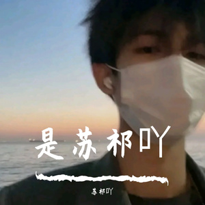 3A-音效-无法平静的内心（苏祁吖 remix）（苏祁吖 remix）