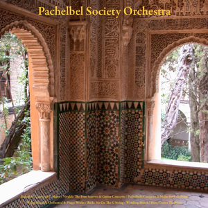 Concerto in F Minor for Violin, Strings and Continuo, Op. 8, No. 4, Rv 297, “l’ Inverno” (Winter): II. Largo